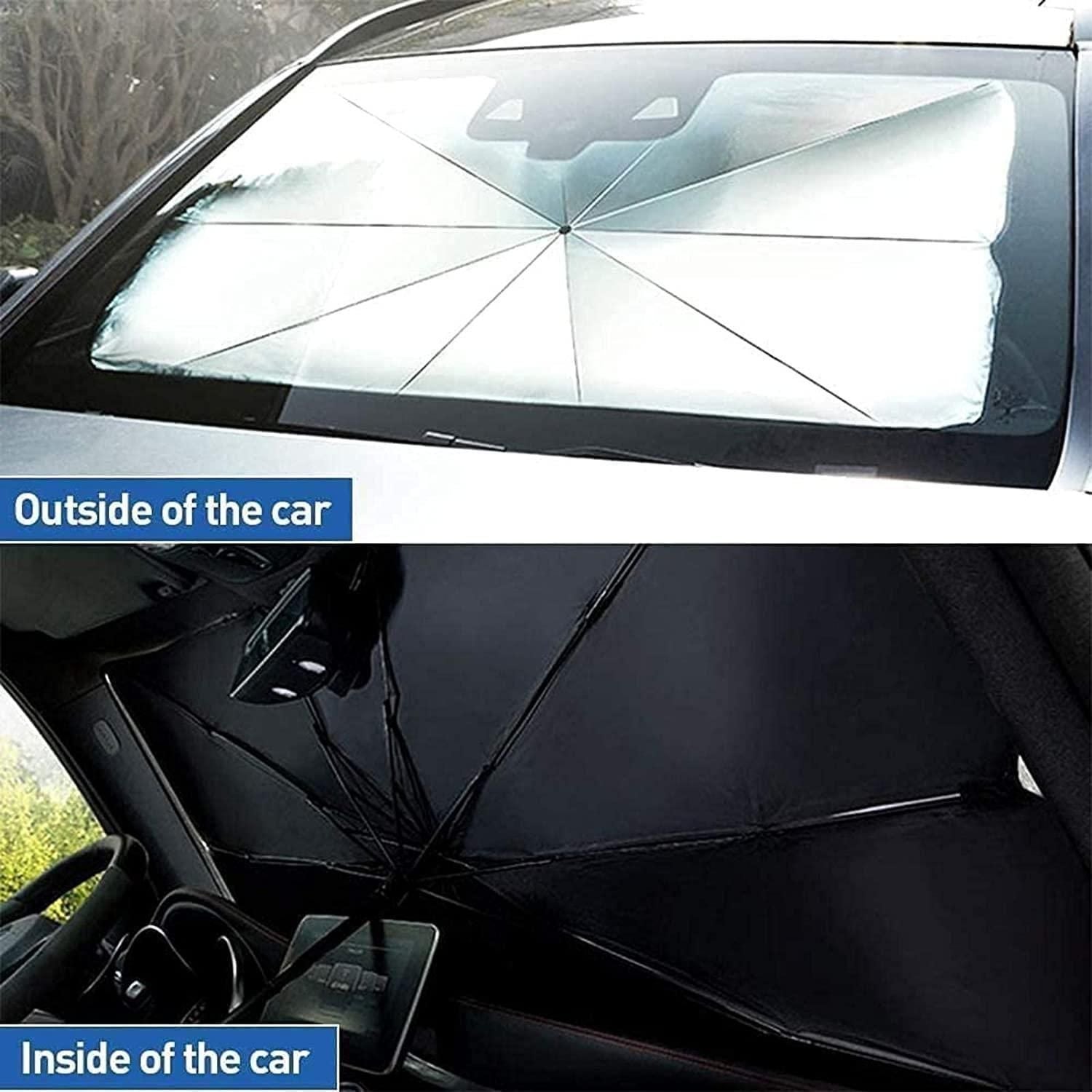Car Windshield
